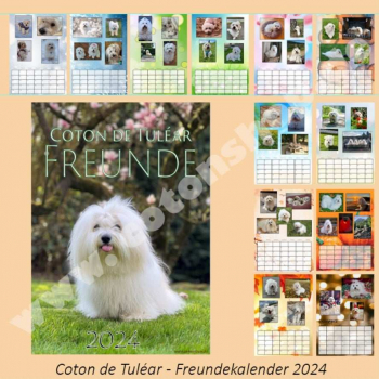 Coton de Tuléar Freunde Kalender 2024 - leider verzögert sich der Versand. Versand ca. ab 16.12.23